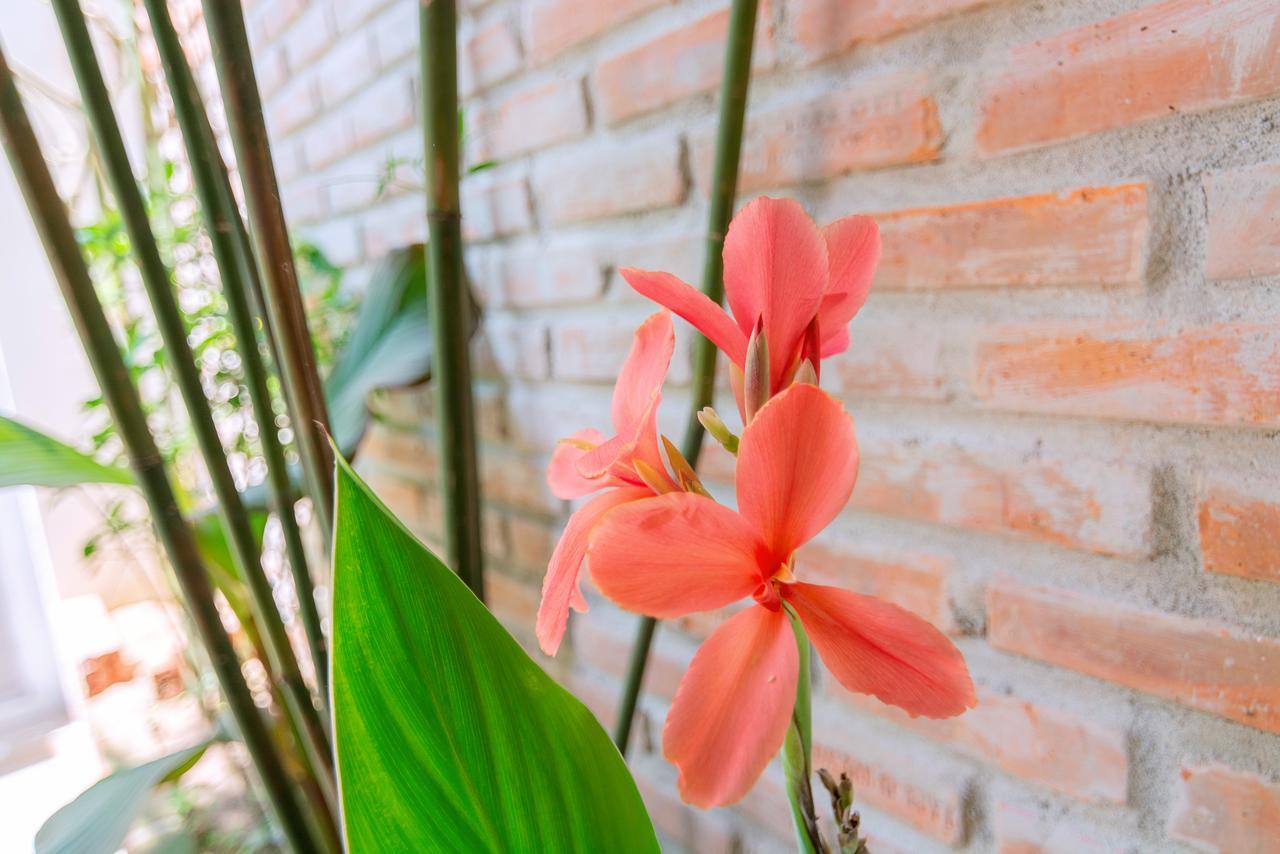 Seamist Ocean Villa Hội An Buitenkant foto